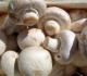 Side Effects Of Mushroom